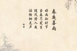 开云体育登录-绿茵冷雨夜，斯洛伐克用战术铁幕，锁住巴西桑巴之光