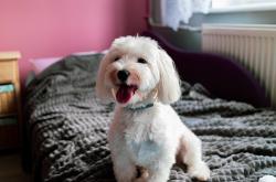 开云体育app-宿命与新生，尼克斯用传统底蕴征服年轻魔术，抢七鏖战铸就历史