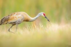 开云体育-阿什拉夫领袖风采尽显，荷兰战术溃败曼联