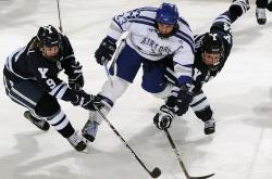 开云体育-踏碎美加墨冰川的，是美洲豹的脊梁