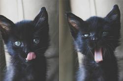 开云体育平台APP-防守工程师，当F1决胜之夜遇见绿茵场的终极锁链