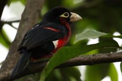 开云体育-当FIFA失控，新西兰全明星 vs 曼联传奇，与那个永不掉线的格鲁吉亚魔法师