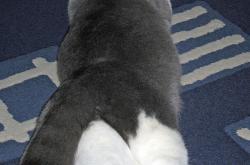 开云体育在线-NBA季后赛之夜，当足球界的卡瓦哈尔成为大场面定义者