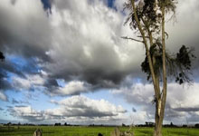 开云sport-辽宁风骨逆行者，当逆转成为一种精神图腾