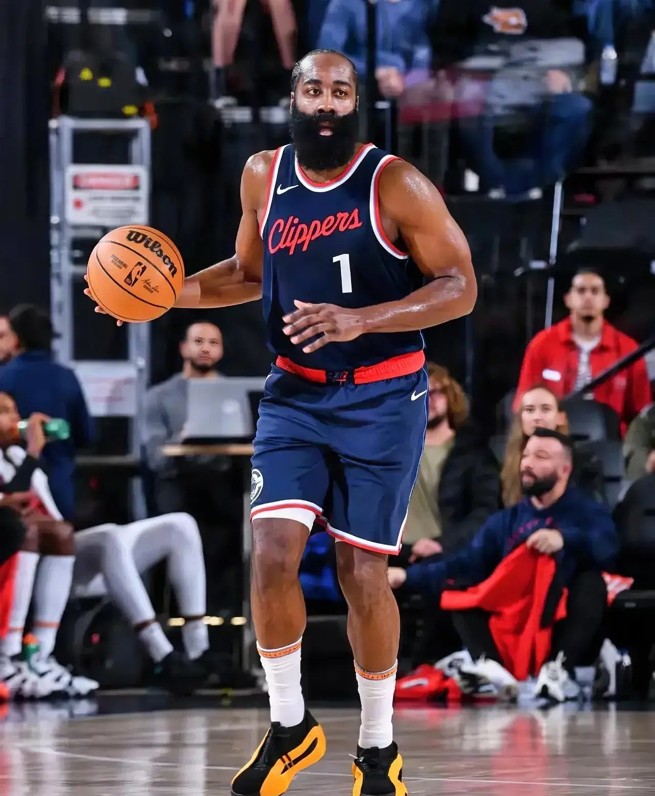 日本男篮强势灰熊,伦纳德三分雨点燃全场 日本男篮强势灰熊,伦纳德三分雨点燃全场