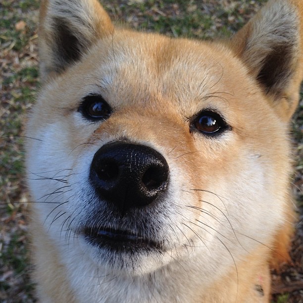 现代篮球的智慧碰撞，恩比德的个人教科书与步行者的团队铁血诗篇