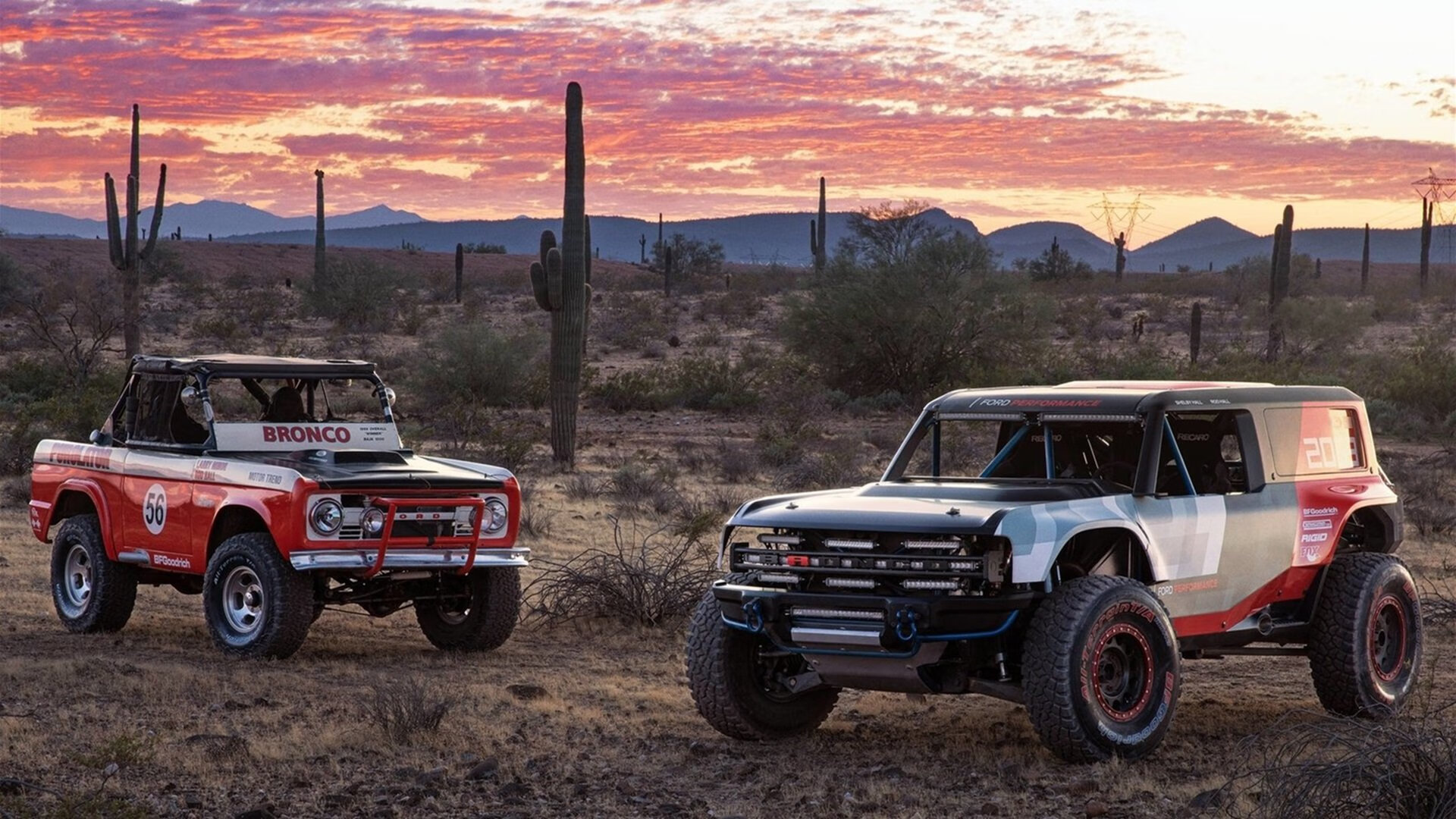 另一个赛场上的总决赛时刻