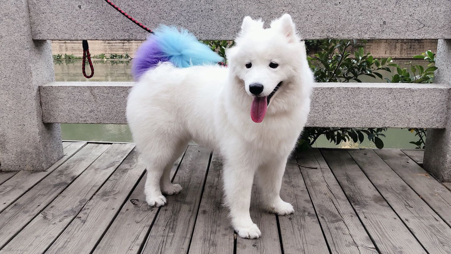 亚洲奇迹诞生!这一夜,我们颠覆了绿茵场