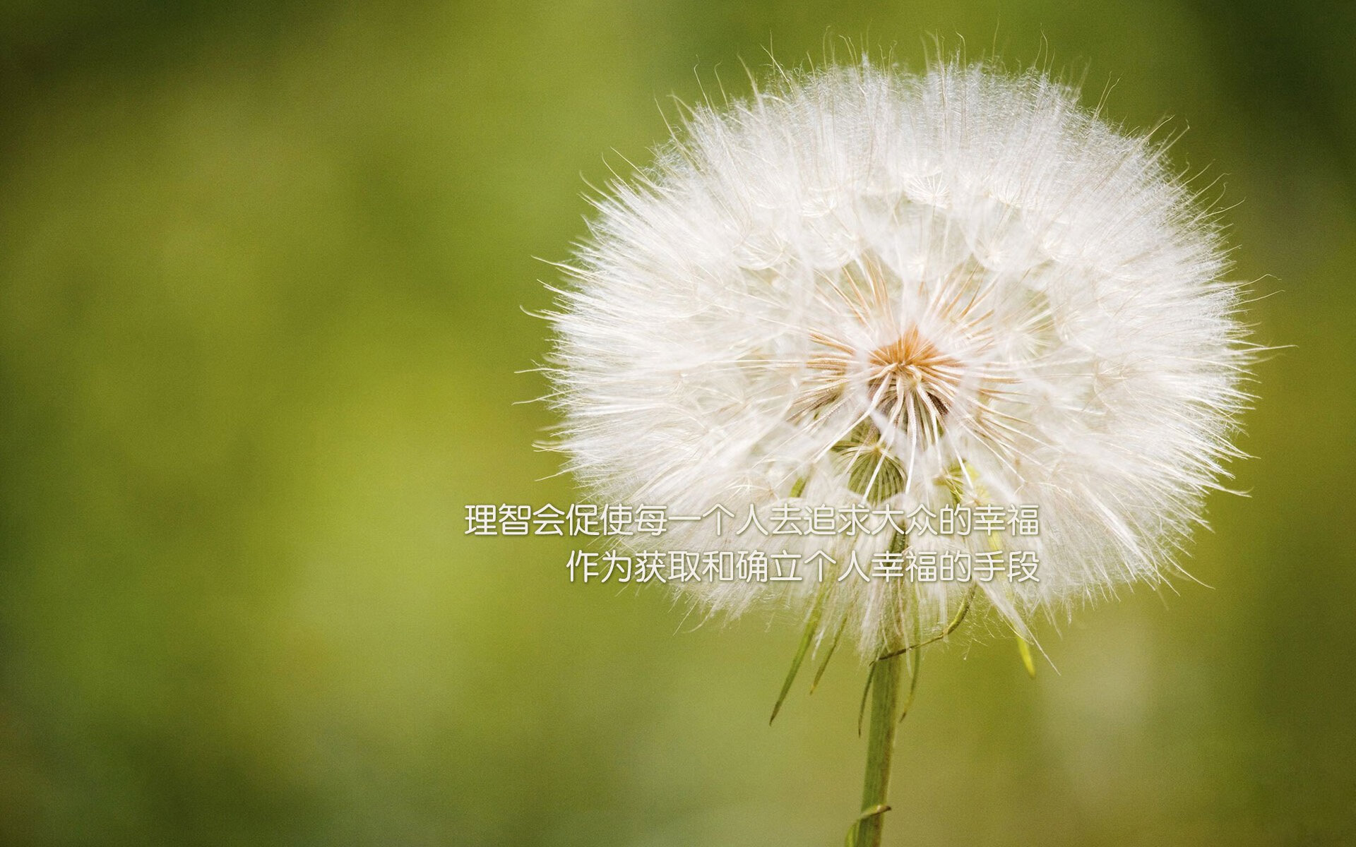 图腾与蓝调，当潘帕斯雄鹰掠过雷恩的天空，哈弗茨在舞台中央绽放