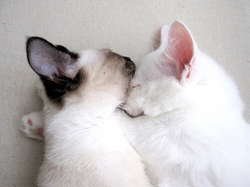 跨界风暴,掘金爆冷负山西,拉文F1街道赛上演极限接管