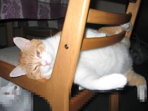 从安菲尔德的窒息到里昂的碾压,足球宇宙中偶然与必然的史诗二重奏