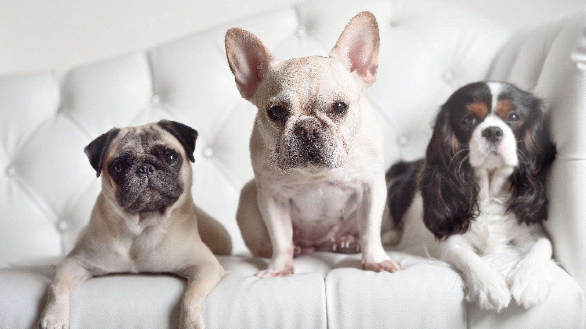 橙色幽灵与独行火焰，当摩洛哥的战术铁壁遇上卡尔马科的孤勇冲锋