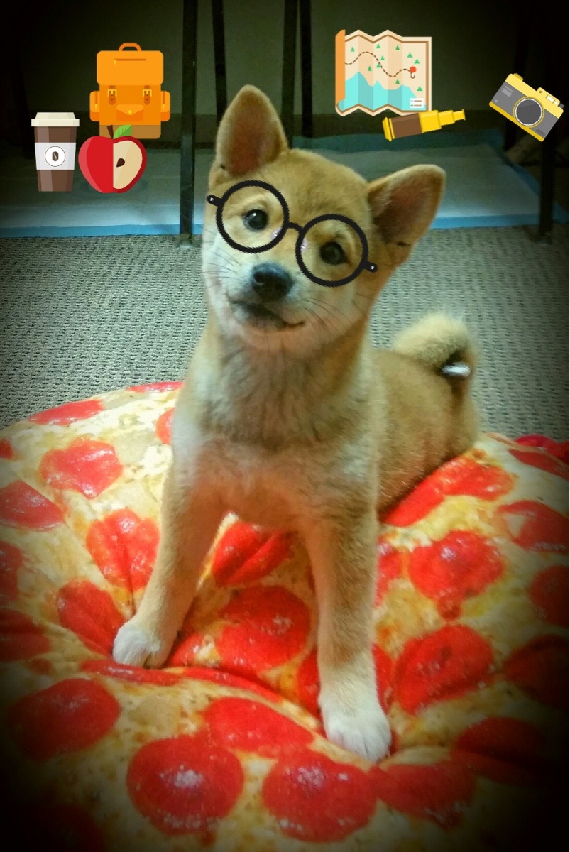 蜂鹰大战沦为背景板，库里把球场变成个人剧院