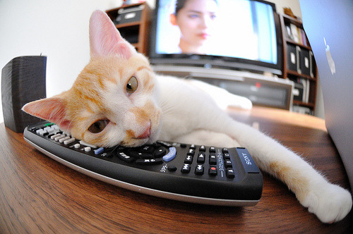 赛道上的篮球旋风,浙江队以F1街战之势完胜吉林队