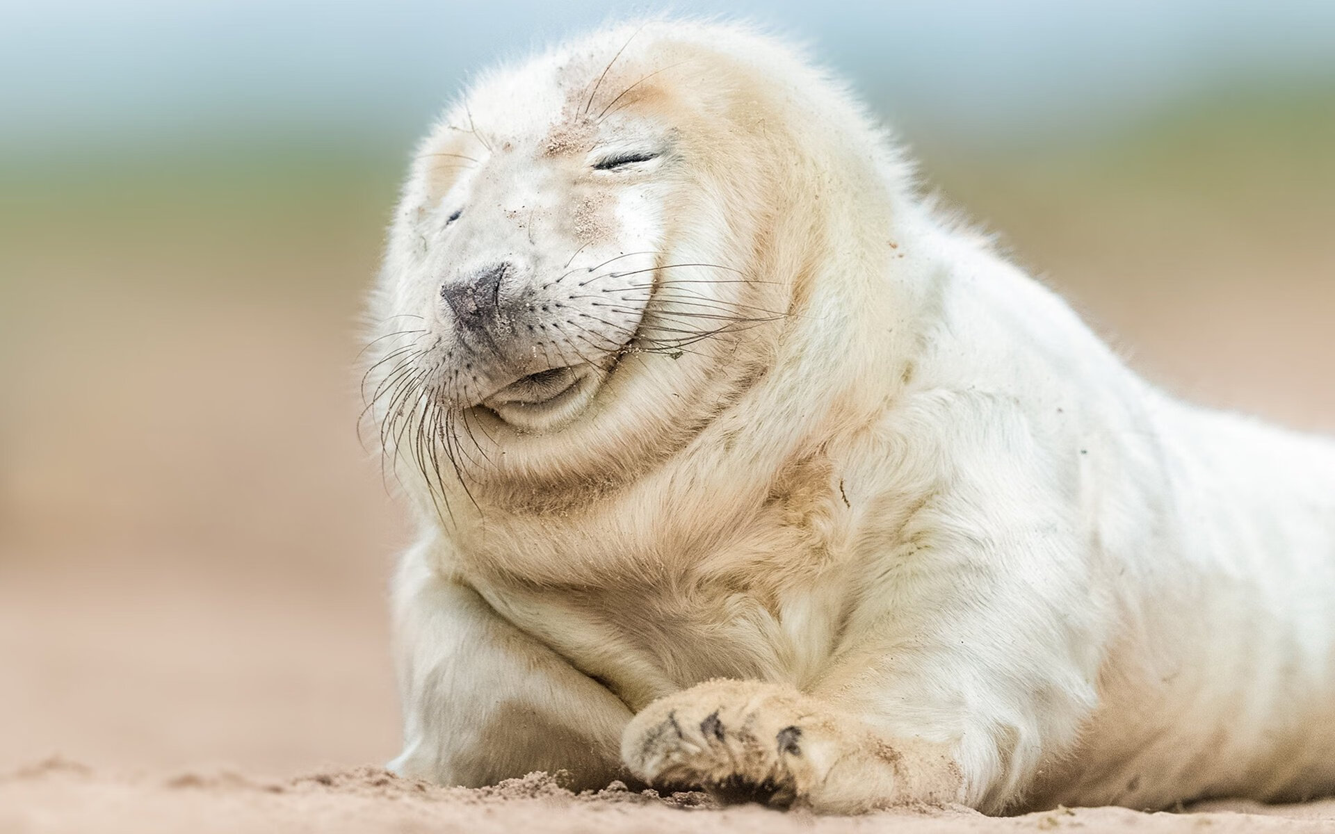 基耶萨光芒万丈无争议当选最佳，尤文图斯强势碾压国际米兰晋级下一轮