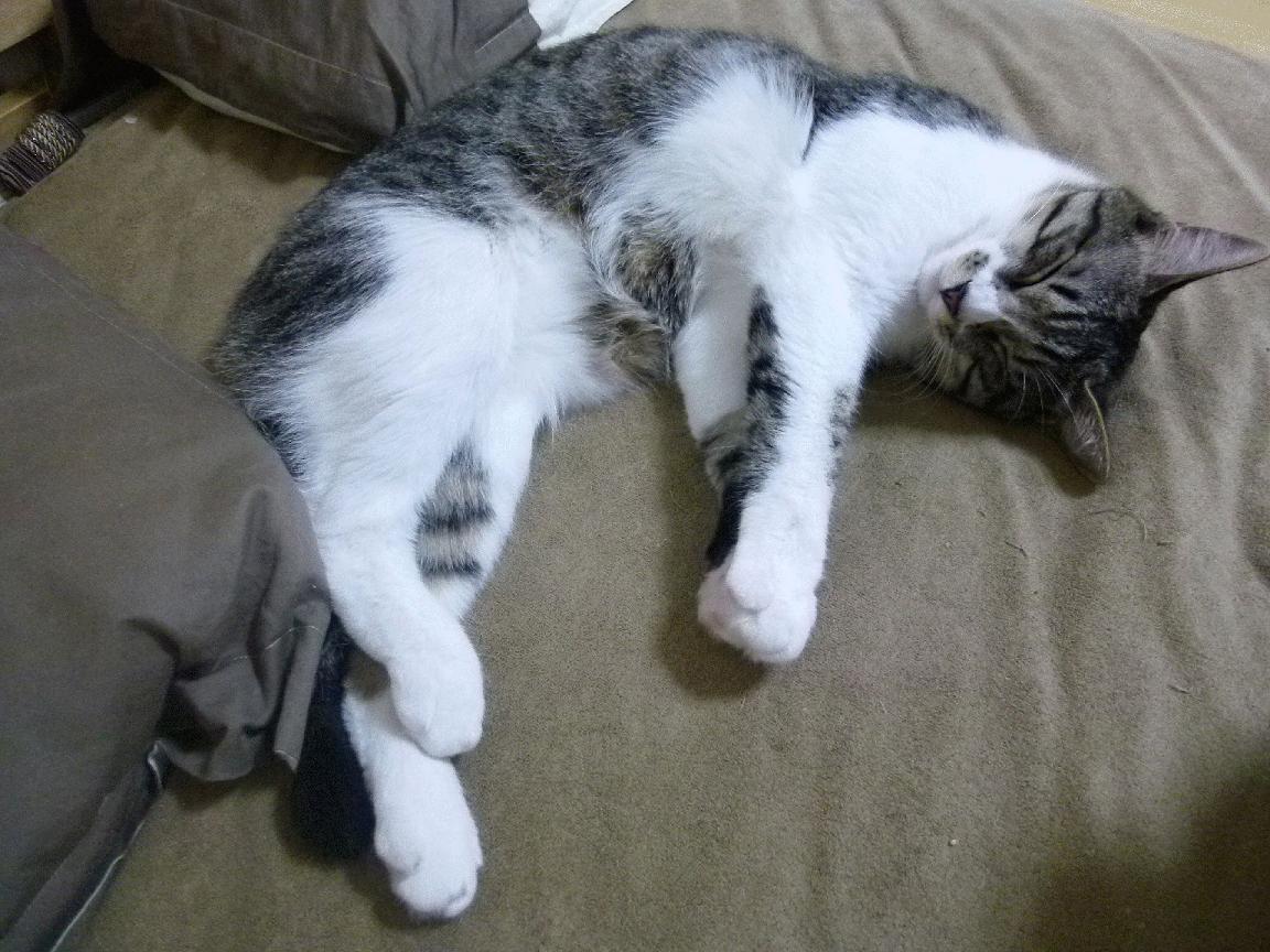 国王的最后舞步，阿劳霍在抢七炼狱中镌刻的统治印记