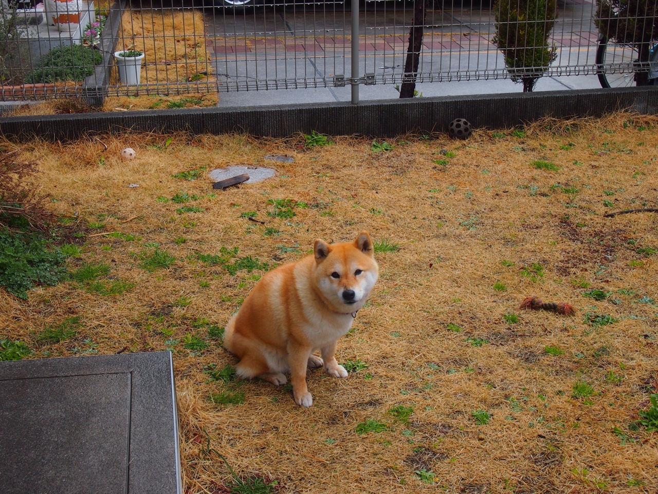 惊天逆转!亚特兰大绝境翻盘,基耶萨关键先生导演奇迹之夜