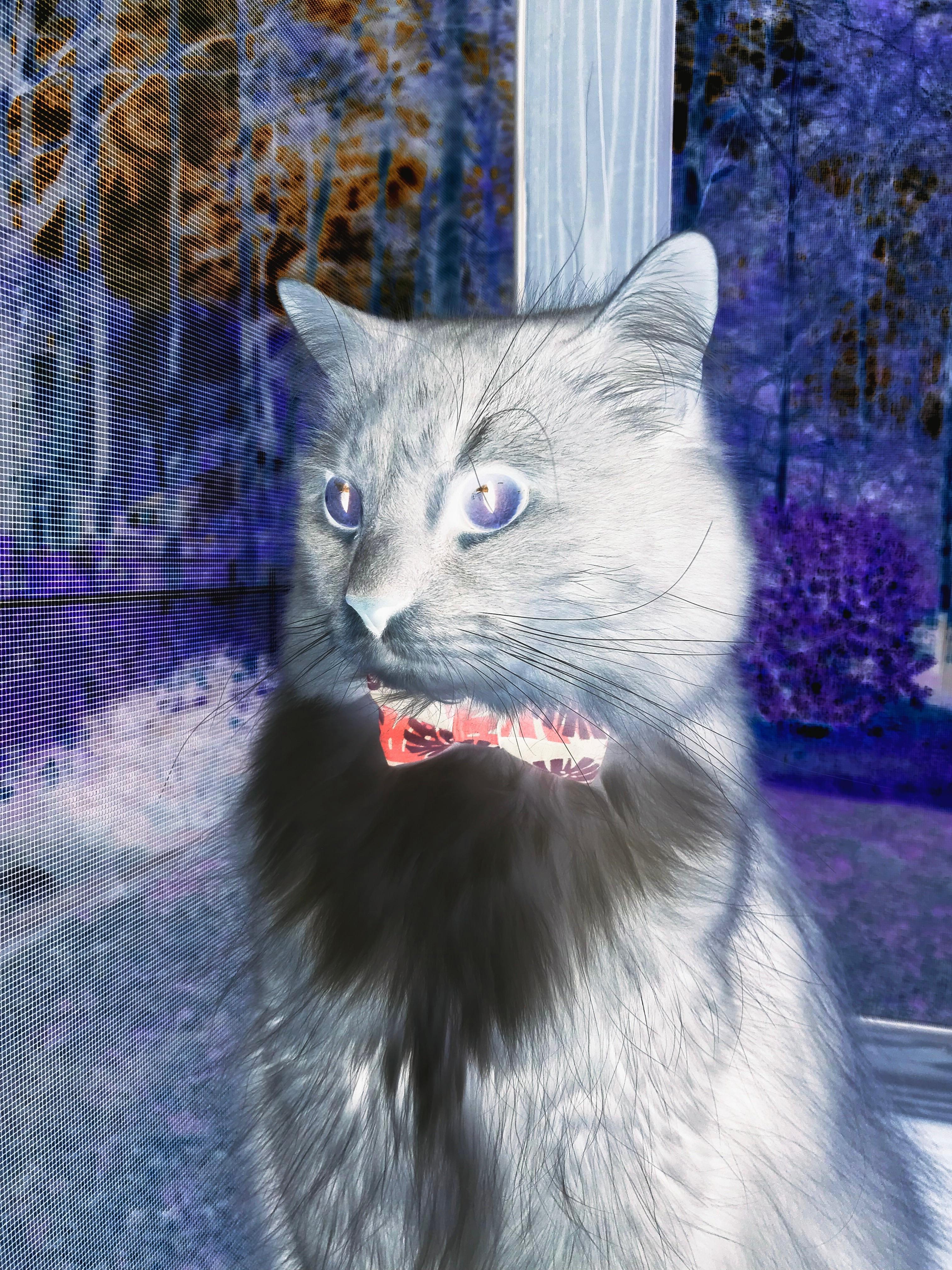 金玟哉状态火热,毕尔巴鄂掀翻法国,足球世界的意外与必然