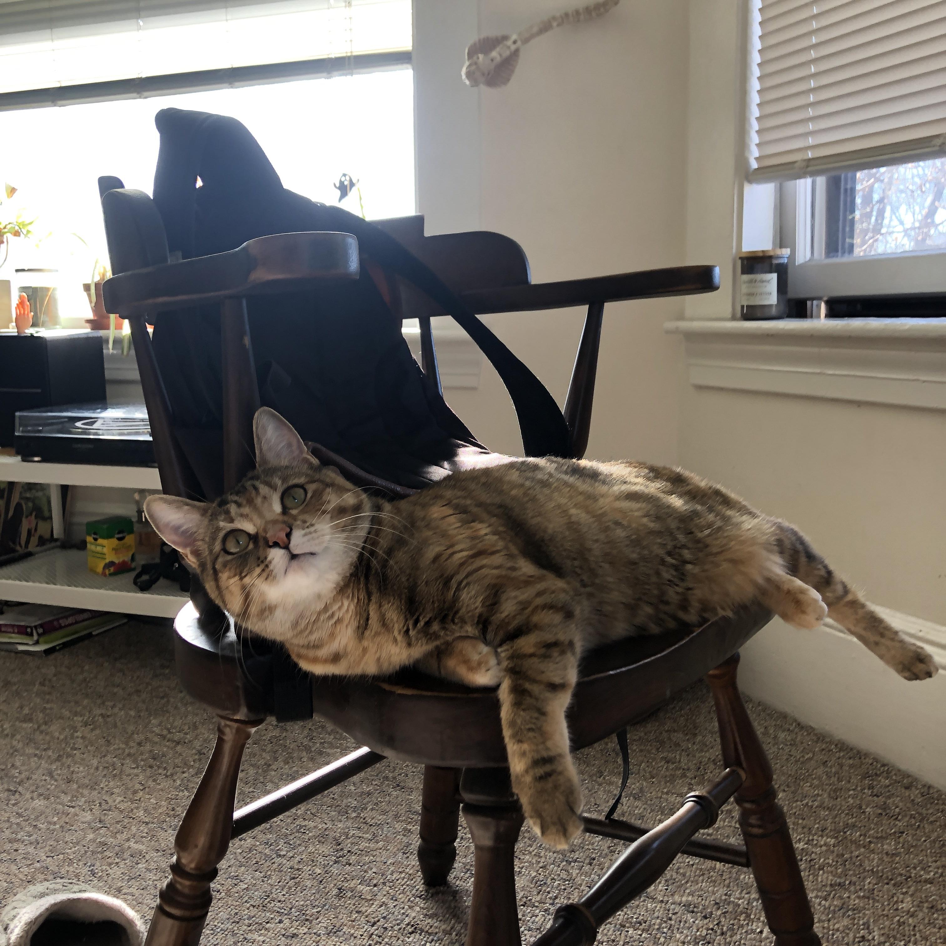 独一份的傲慢，爵士用一场高原围猎，宣示何为唯一的制霸