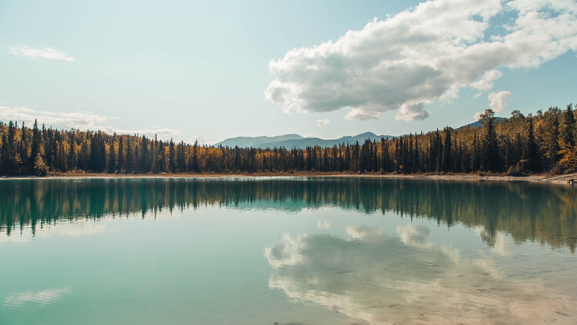 跨越边界的战神，从76人鏖战到奥运舞台，爱德华兹的接管基因