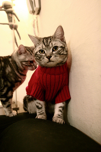 西甲国家比拼图,新西兰击溃尤文的意外回声