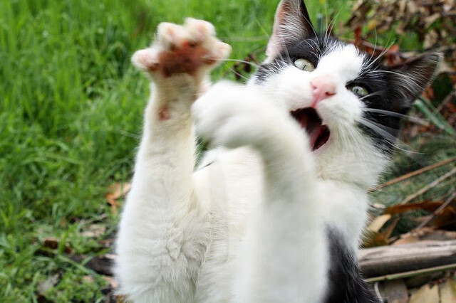 一剑封喉与铁壁合围，詹姆斯的不手软美学与掘金的击溃哲学