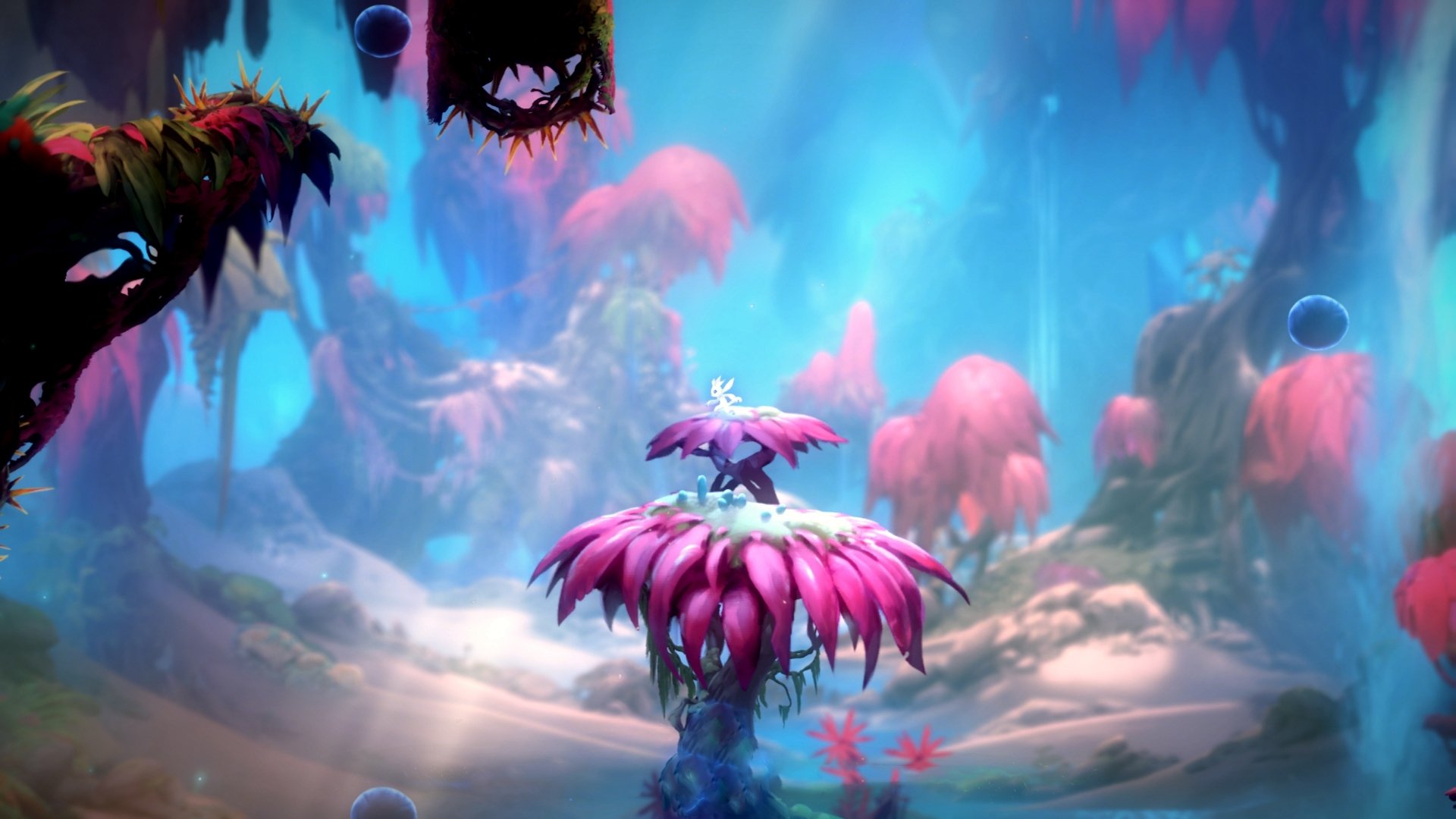 卢卡库,当小魔兽遇见玻利维亚,一场属于他个人的征服仪式