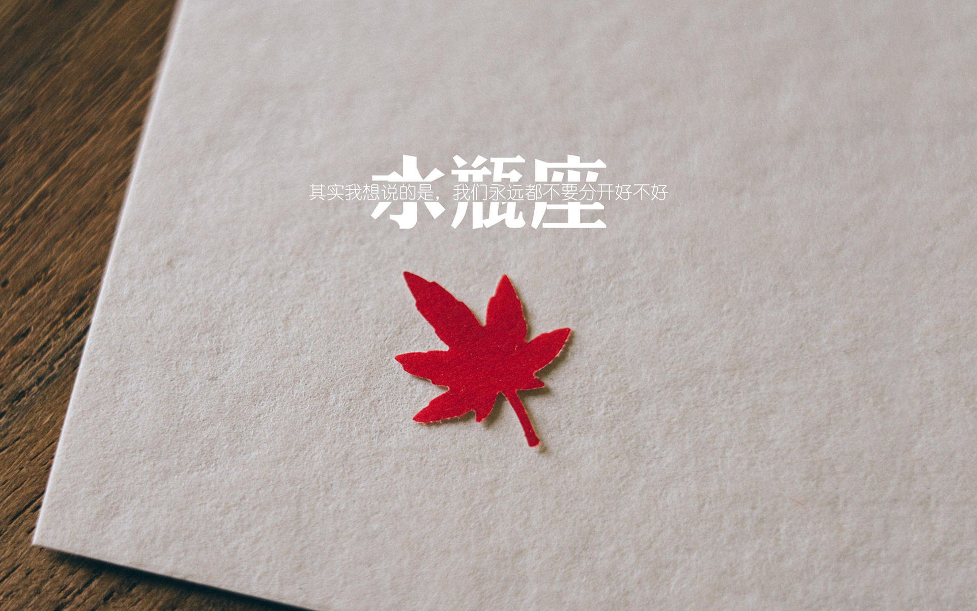 2026世界杯揭幕战,潘帕斯雄鹰撕裂五盾军团,贝林厄姆与门神共铸阿根廷不朽之夜