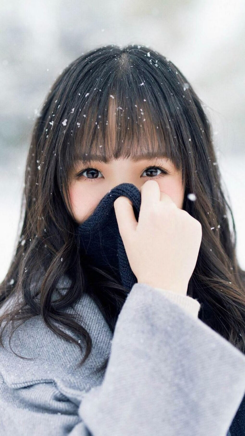选项